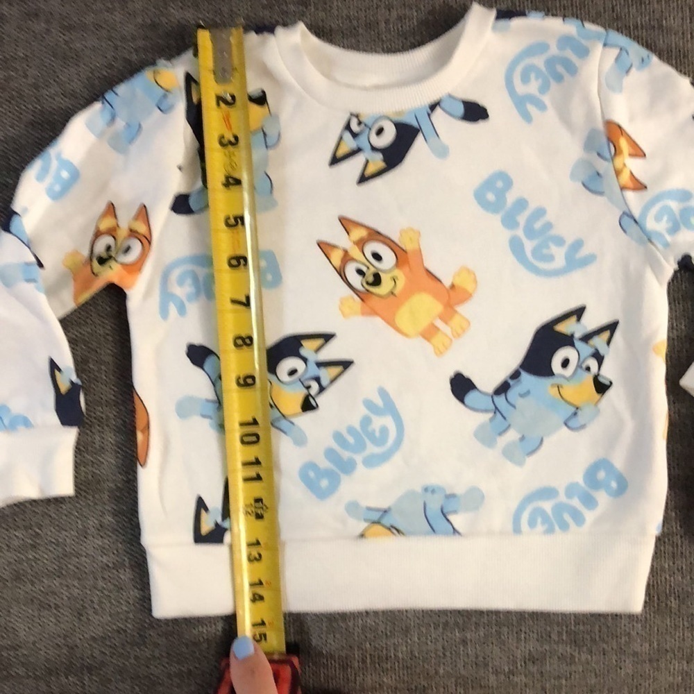 Moose Bluey Bingo Long Toddler Boys Sleeve Pullover Sweatshirt White 2T - Picture 12 of 13